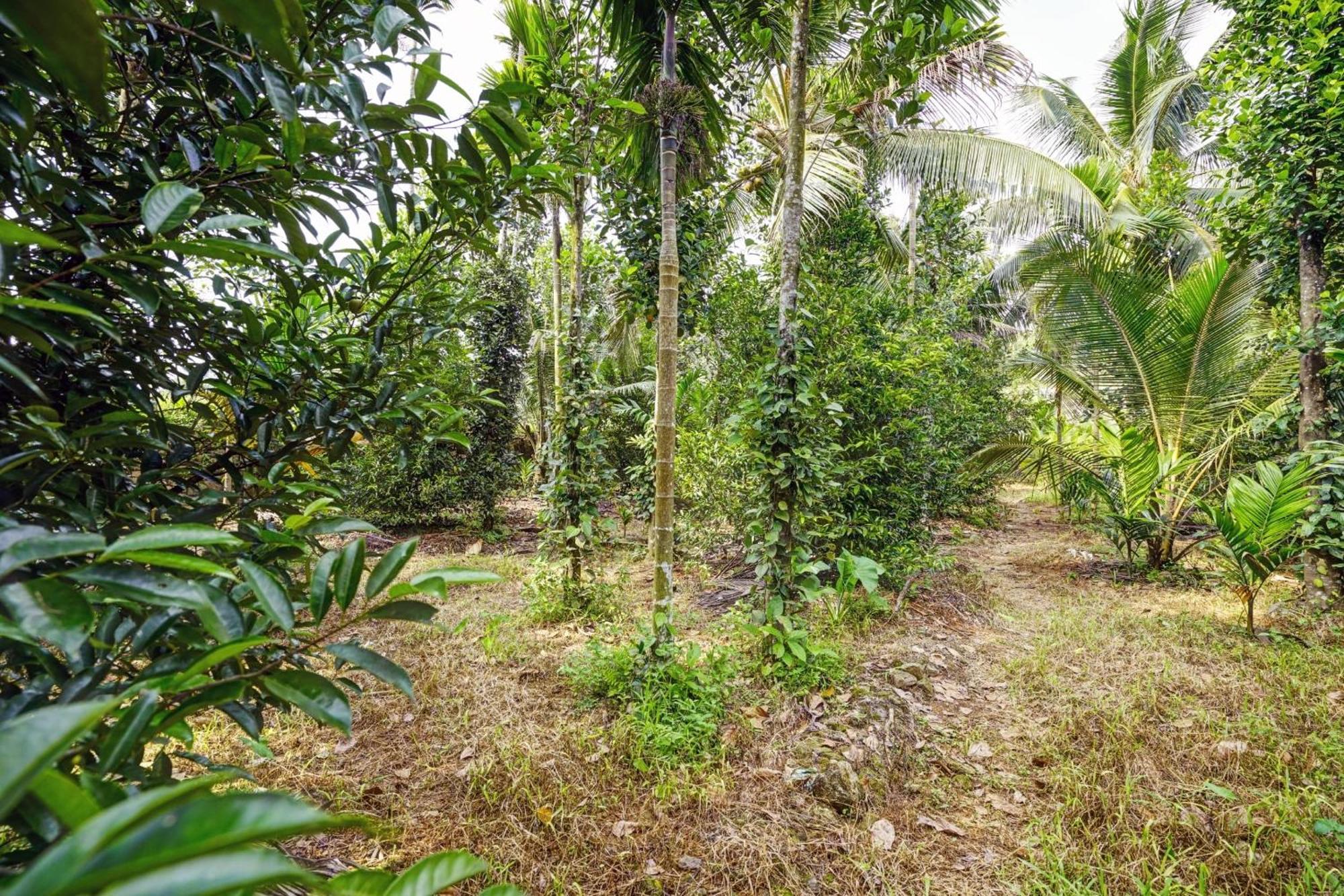 Spot On Shalom Palace Residency Neriyamangalam Экстерьер фото